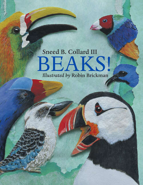 Book cover of Beaks!