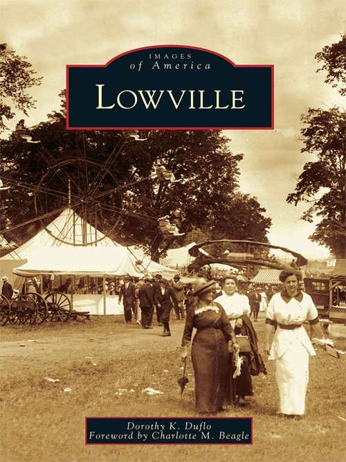 Book cover of Lowville