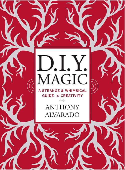 Book cover of DIY Magic