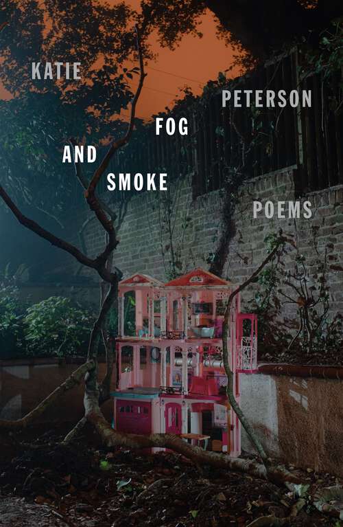 Book cover of Fog and Smoke: Poems