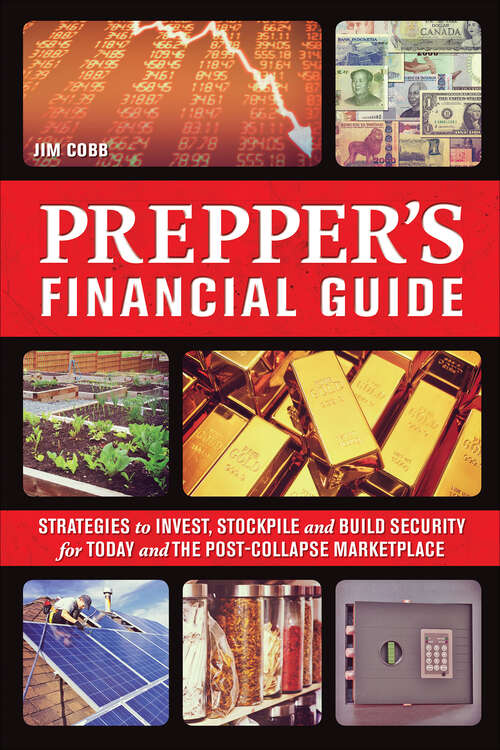 Book cover of Prepper's Financial Guide: Strategies to Invest, Stockpile and Build Security for Today and the Post-Collapse Marketplace (Preppers)