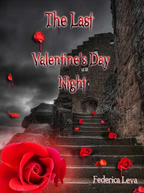 Book cover of The Last Valentine's Day Night