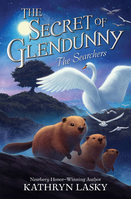 Book cover of The Secret of Glendunny #2: The Searchers