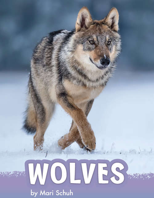 Book cover of Wolves (Animals)