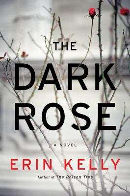 Book cover of The Dark Rose : A novel