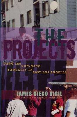 Book cover of The Projects