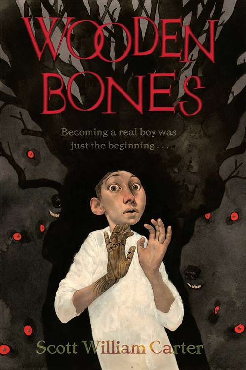 Book cover of Wooden Bones
