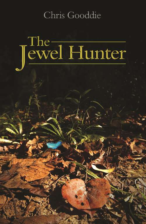 Book cover of The Jewel Hunter