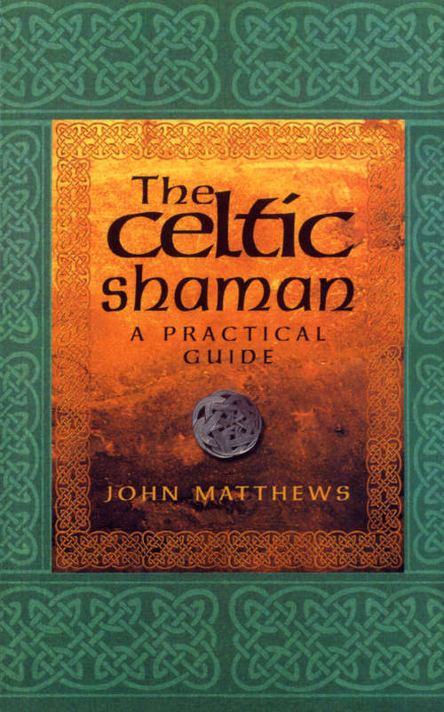Book cover of The Celtic Shaman