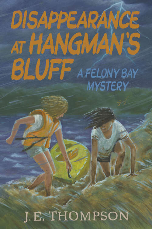 Book cover of Disappearance at Hangman's Bluff (No Series (generic) Ser.)