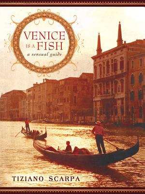 Book cover of Venice Is a Fish