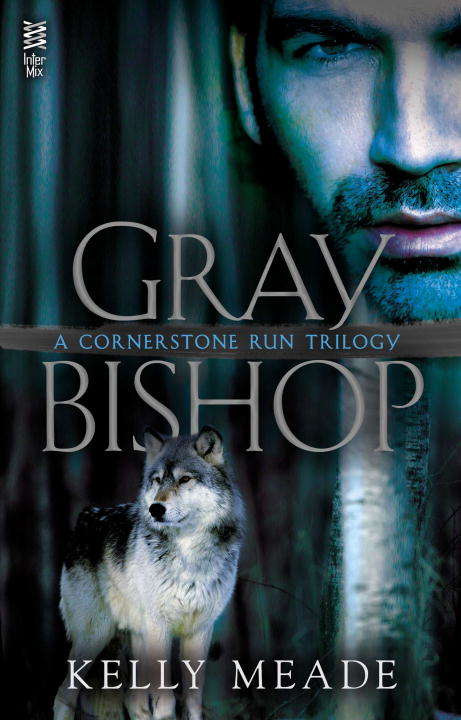 Book cover of Gray Bishop (A Cornerstone Run Trilogy #2)