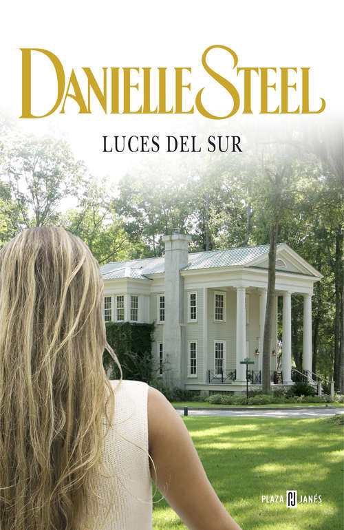 Book cover of Luces del sur