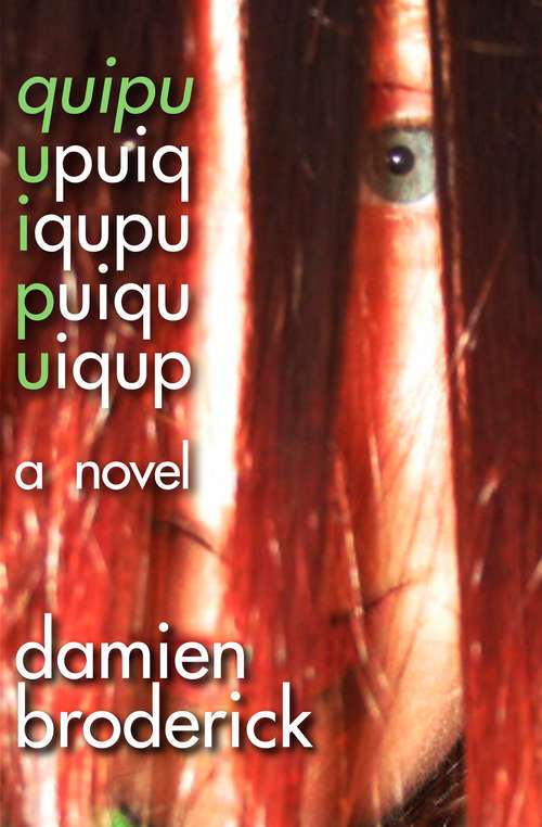 Book cover of Quipu