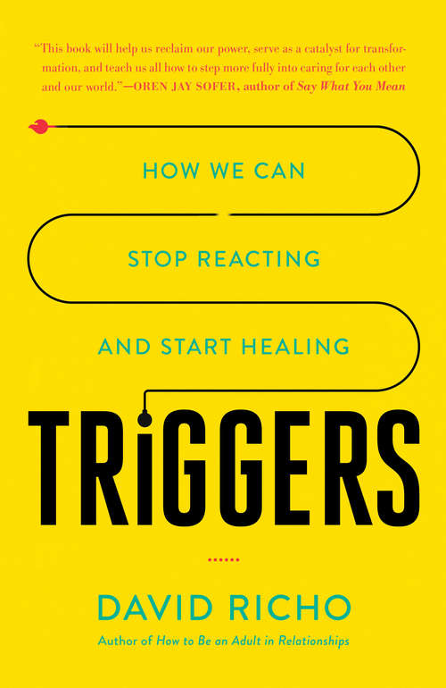 Book cover of Triggers: How We Can Stop Reacting and Start Healing