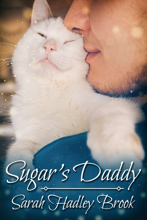 Book cover of Sugar's Daddy