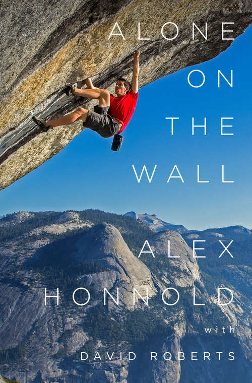 Book cover of Alone on the Wall