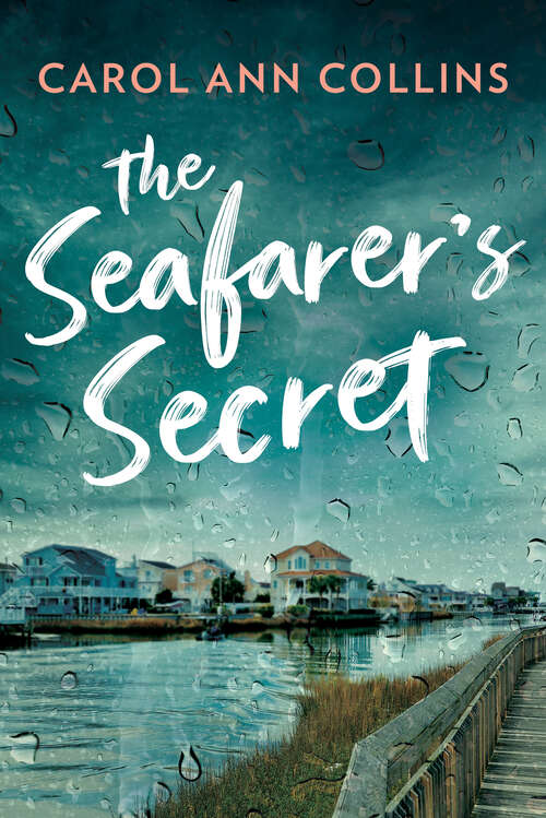 Book cover of The Seafarer's Secret