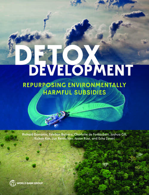 Book cover of Detox Development: Repurposing Environmentally Harmful Subsidies