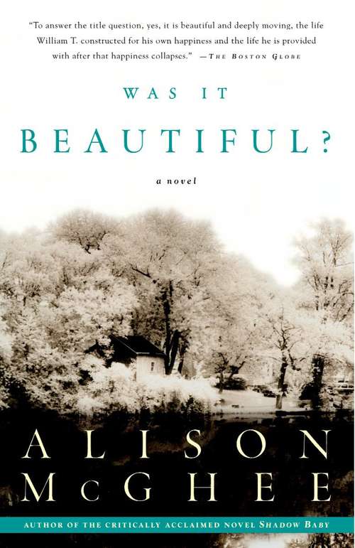 Was It Beautiful?: a novel