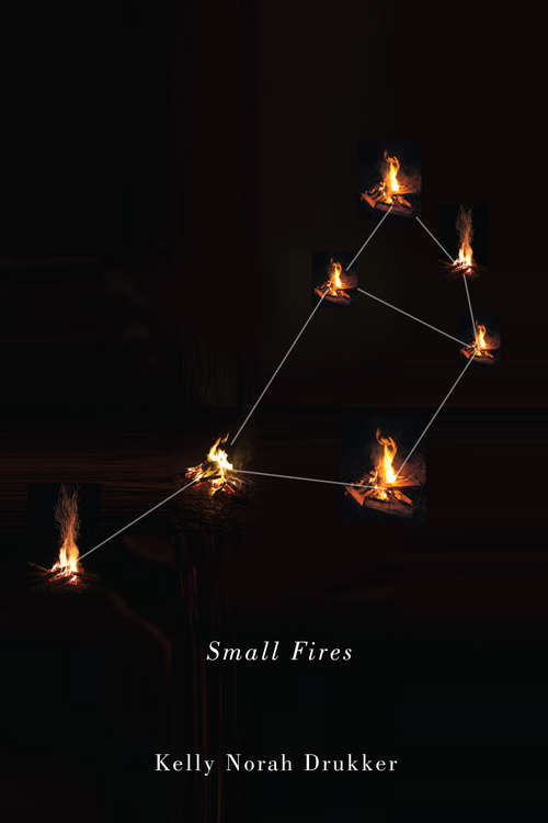Book cover of Small Fires (Hugh MacLennan Poetry Series #36)