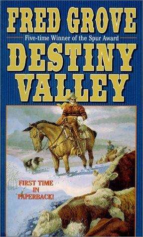 Book cover of Destiny Valley