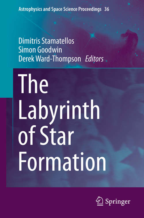 Book cover of The Labyrinth of Star Formation