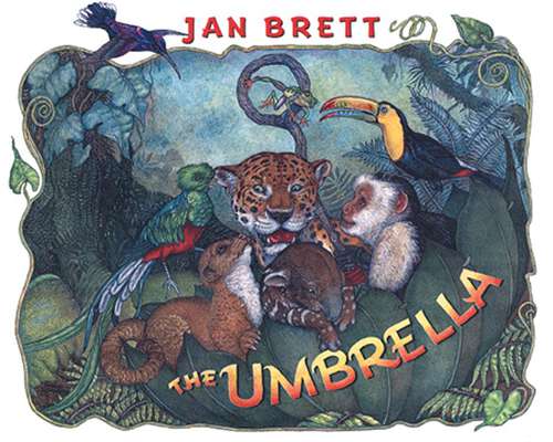 Book cover of The Umbrella: board book