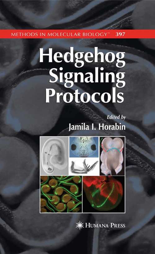 Book cover of Hedgehog Signaling Protocols