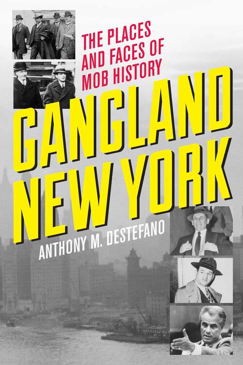 Book cover of Gangland New York: The Places and Faces of Mob History
