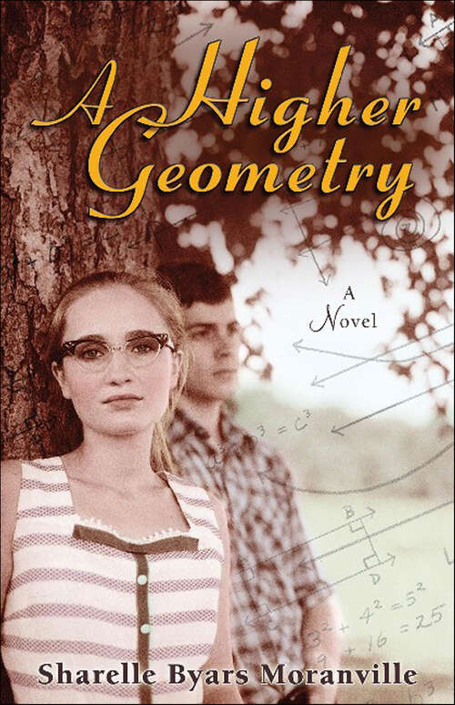 Book cover of A Higher Geometry: A Novel