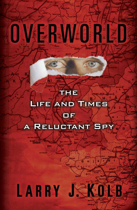 Book cover of Overworld