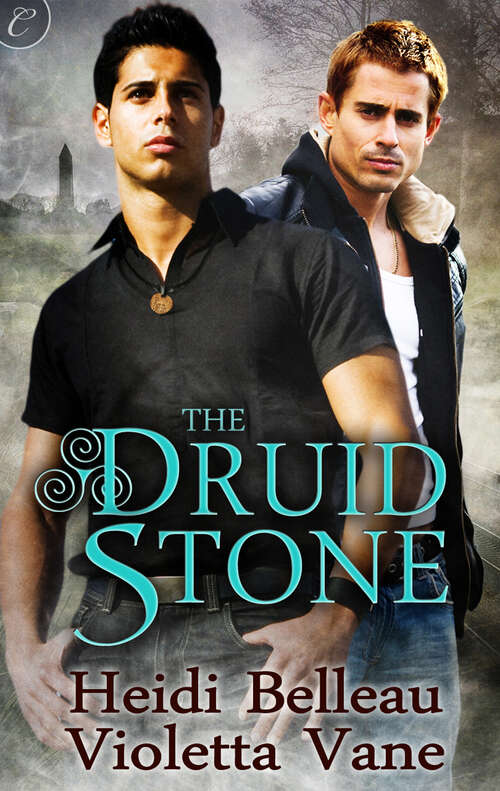 The Druid Stone (Layers Of The Otherworld Ser.)