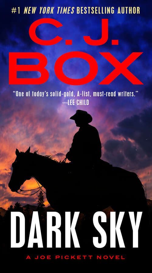 Dark Sky (A Joe Pickett Novel #21)