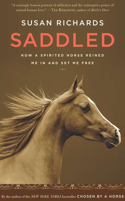 Book cover of Saddled
