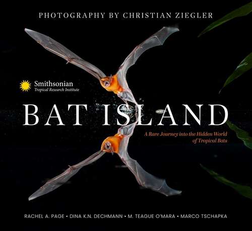 Book cover of Bat Island: A Rare Journey into the Hidden World of Tropical Bats