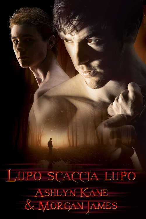 Book cover of Lupo scaccia lupo