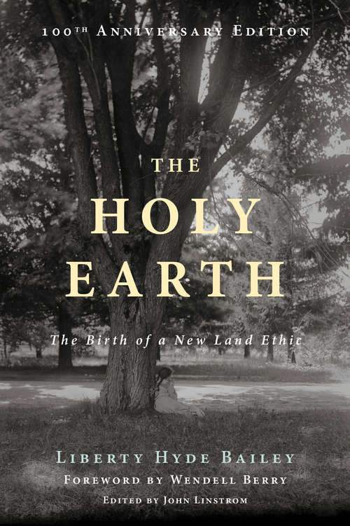 Book cover of The Holy Earth