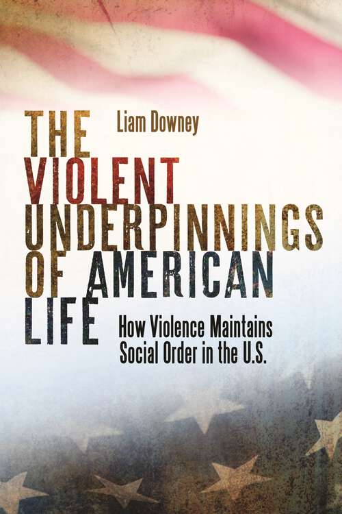 Book cover of The Violent Underpinnings of American Life: How Violence Maintains Social Order in the US