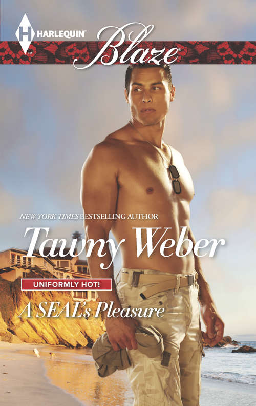 Book cover of A SEAL's Pleasure