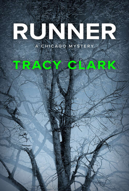Book cover of Runner (A Chicago Mystery #4)