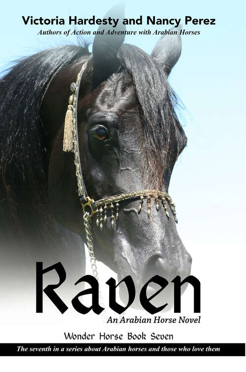 Book cover of Raven: An Arabian Horse Novel