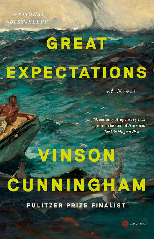Book cover of Great Expectations: A Novel