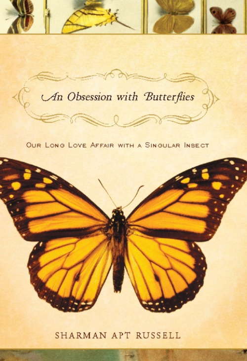 Book cover of An Obsession With Butterflies