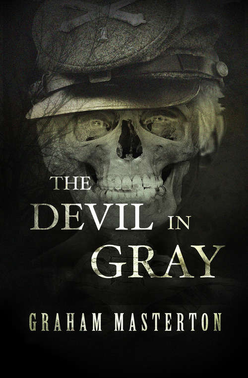 Book cover of The Devil in Gray