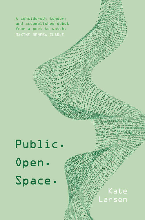 Book cover of Public. Open. Space