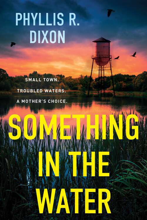 Book cover of Something in the Water