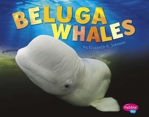 Book cover of Beluga Whales (Sea Life Ser.)
