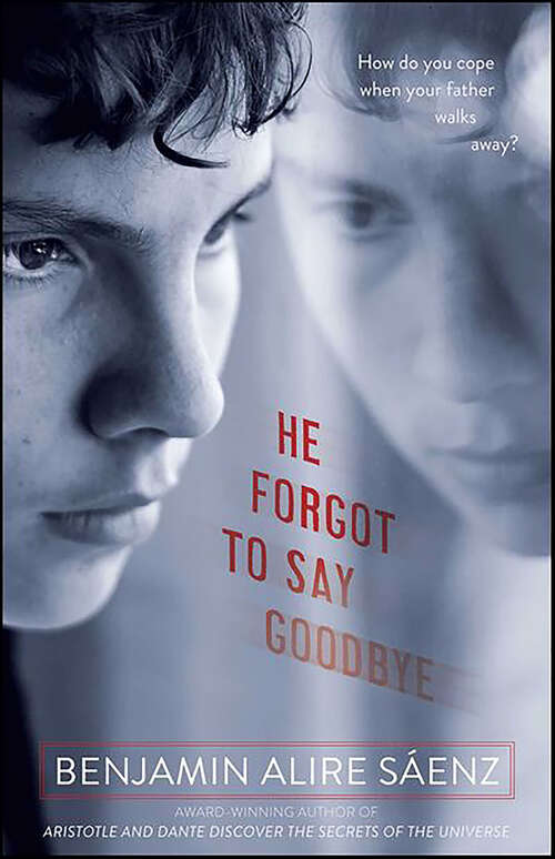 Book cover of He Forgot to Say Goodbye