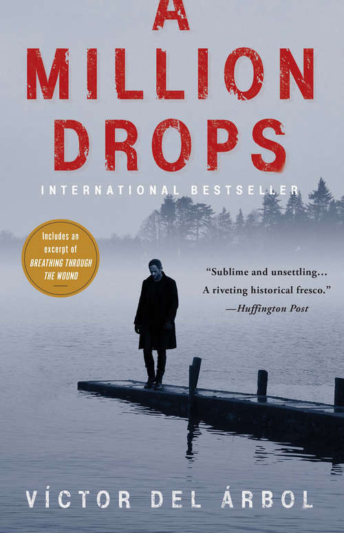 Book cover of A Million Drops: A Novel
